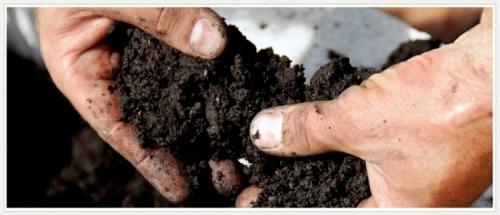 От чего зависит плодородие почвы - факторы и влияющие элементы