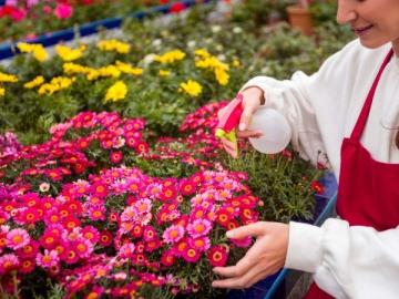 Практические советы по уходу за садовыми цветами - большой список сортов и правил выращивания