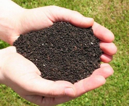 Органические удобрения для огорода - эффективные способы улучшения плодородия почвы без химии и вреда для окружающей среды