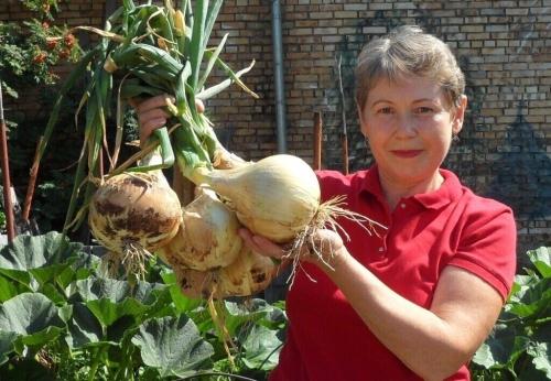 Популярные садовые технологии - откуда начать и как достичь высокой урожайности