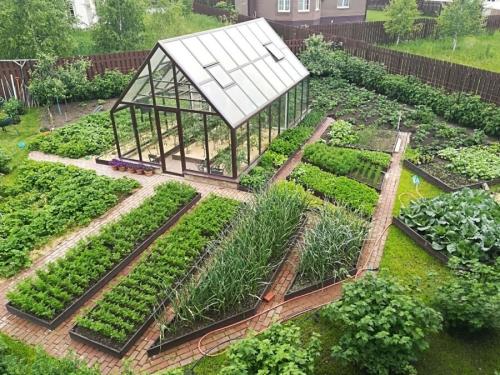 Огород квадратной формы - преимущества и особенности создания удобного огородного участка
