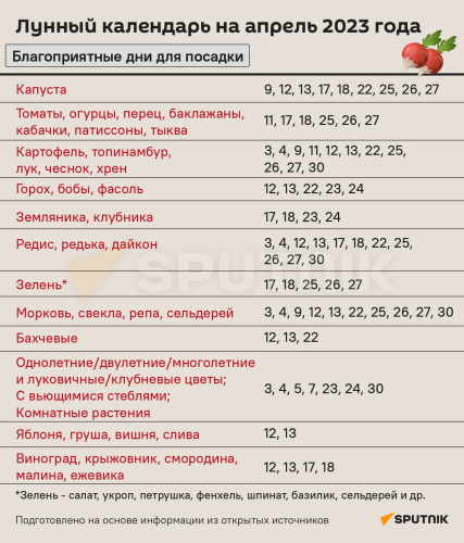 Огородный календарь работ - план занятий на каждый месяц для успешного урожая!