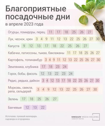 Огородный календарь работ - план занятий на каждый месяц для успешного урожая!