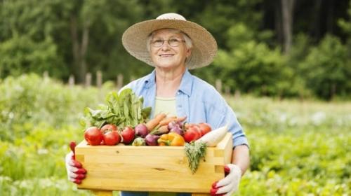 Огород без лишних забот - садим пожилым людям огород для минимальных трудозатрат