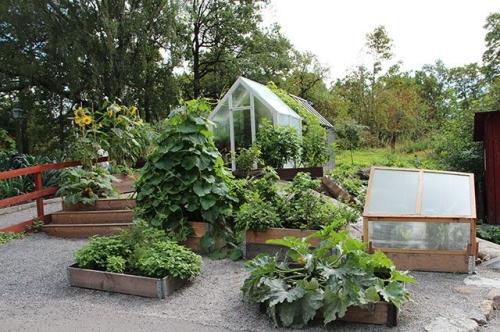 Огород без грядок - новые принципы организации садового участка, открывающие возможности безупречного роста и комфорта