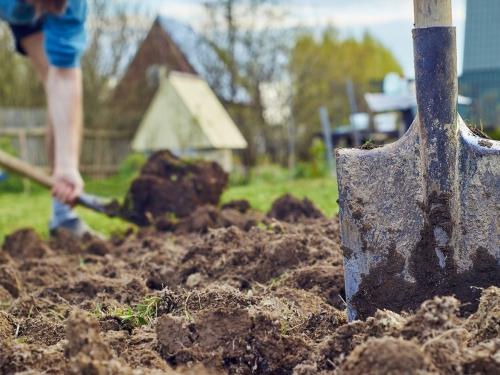 Как правильно выбрать и подготовить почву для сада - экспертные советы