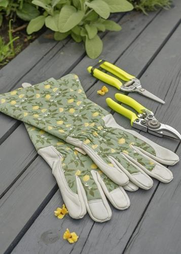 Выбор лучших перчаток для работы с розами - погружение в мир розовых садов без опасности повреждений
