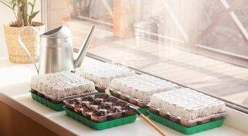 Парник стеллаж - компактное и эффективное решение для выращивания рассады