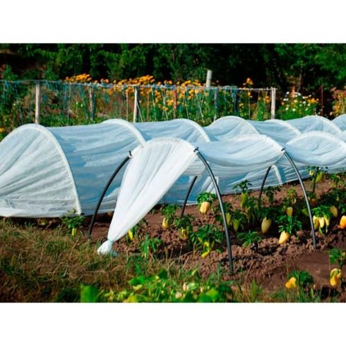 Парник Подснежник - универсальный помощник для сада и огорода - как использовать его максимально эффективно