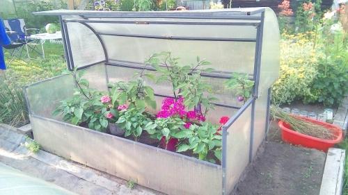 Парник Новатор-Макси с покрытием пэт - возможности и преимущества лучшего выбора для вашего сада