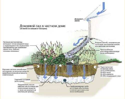 Можно ли сливать канализацию в свой огород - правила и возможности