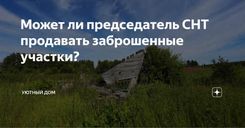 Возможно ли законное осуществление продажи заброшенных участков СНТ председателем?