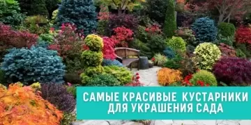 Садовые деревья и кустарники - непревзойденные природные художники вашего сада, создающие великолепные картины природы и придающие ему уникальный шарм и красоту