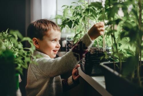 Мини огород для детей - посадка и уход, советы по выбору растений