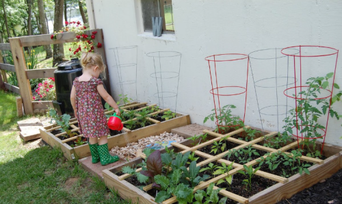 Мини огород для детей - посадка и уход, советы по выбору растений