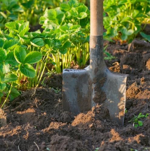 Лопата садово-огородная универсальная - незаменимый помощник для ухода за вашим садом и огородом, позволяющий эффективно выполнять любые работы на даче в течение всего сезона!