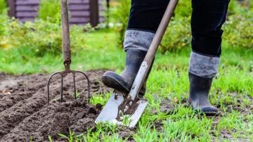 Лопата садово-огородная универсальная - незаменимый помощник для ухода за вашим садом и огородом, позволяющий эффективно выполнять любые работы на даче в течение всего сезона!