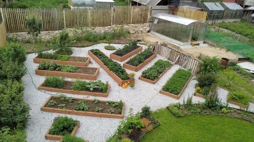 Легкий огород - секреты выращивания овощей без лишних хлопот