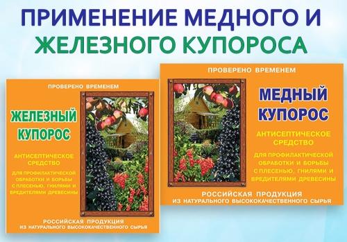 Купорос в жизни огорода – преимущества использования и особенности применения