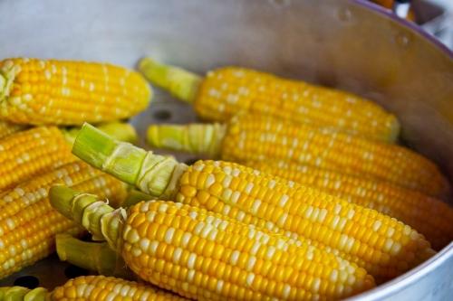 Кукуруза - овощ или зерно? Подробный анализ пользы и применения