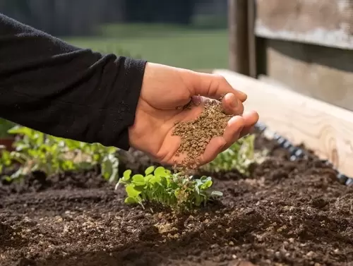 Как улучшить плодородие почвы с помощью конского навоза на огороде - простые и эффективные советы и рекомендации