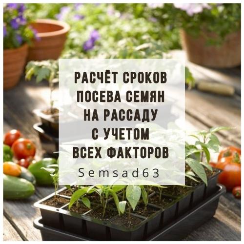 Когда лучше сажать рассаду – оптимальный период для посадки