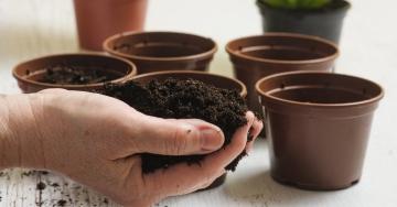 Как выбрать оптимальный состав садовой земли для рассады и грамотно подготовить почву - советы для успешного садоводства