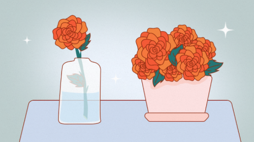 Как легко и просто размножить розу черенками в домашних условиях - шаг за шагом подробная инструкция, советы и рекомендации!