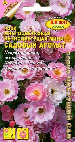 Роза – сокровенный садовый аромат, наполни свой уголок природной красоты благоуханием