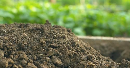 Как определить тип почвы на Вашем участке и правильно ухаживать за огородом