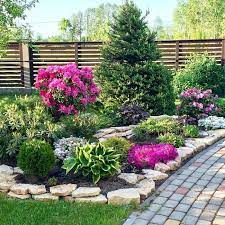 Рододендрон садовый - многолетние виды, высадка и уход, преимущества использования в ландшафтном дизайне