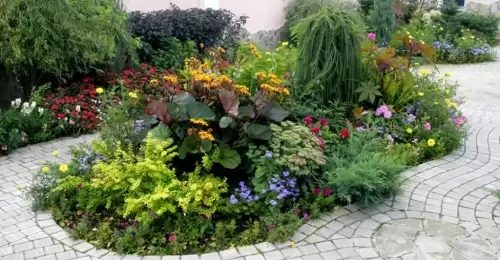 Секреты создания красивого сада и огорода - полезные советы и рекомендации для самых зелёных рук