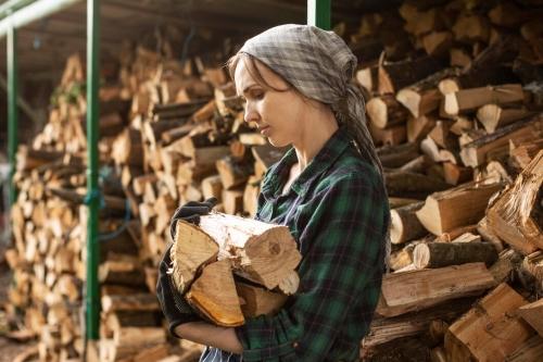 Как выбрать подходящие дрова для камина: рекомендации и советы
