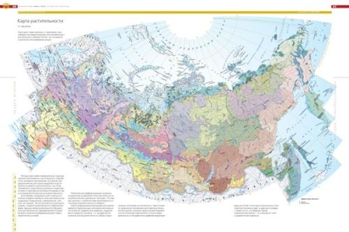 Изумрудная краса лесов - наиболее распространенные и уникальные виды растений и их неповторимые особенности