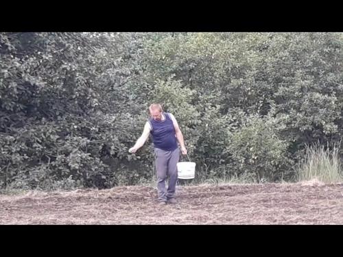 Как посадить люцерну вручную на огороде - пошаговая инструкция с фото и видео