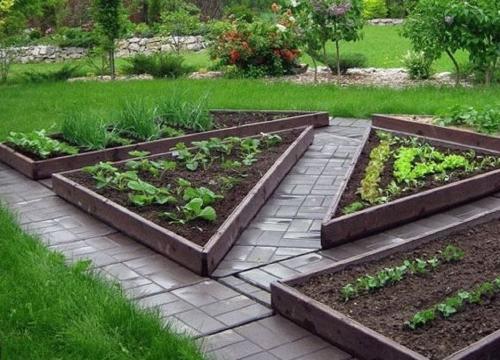 Полезные советы и рекомендации по созданию мини огорода на вашей даче