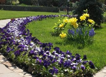 Как создать красивые цветочные композиции в саду - лучшие советы и рекомендации