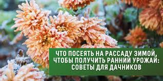 Посадка и уход за азалией садовой - лучшие советы и рекомендации от опытных садоводов