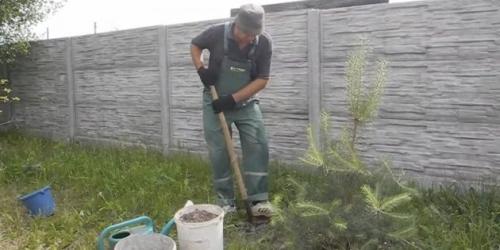 Как выращивать грибы в огороде - полезные советы и рекомендации для успешного результат