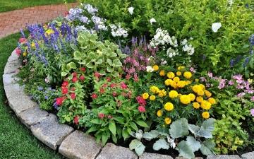 Правила посадки на садовом участке - основные советы и рекомендации для начинающих садоводов