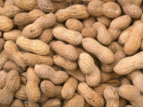 Как вырастить арахис на огороде - полезные советы, стратегии и секреты успешного урожая