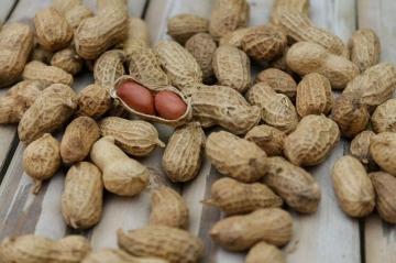 Полезные советы и рекомендации по выращиванию арахиса на огороде - идеальное руководство для сельскохозяйственных усадьб