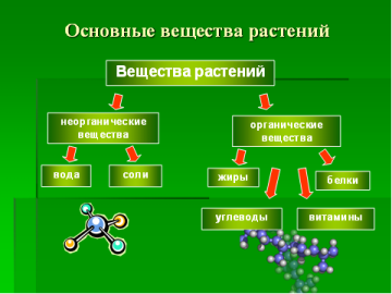 Почвенное питание растений - основные аспекты и практические рекомендации для достижения оптимального роста и развития растений