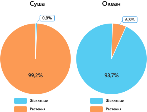 Почвенная среда - влияние на животных и растения, особенности взаимосвязи с составом