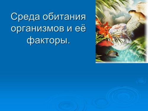 Почвенная среда - влияние на животных и растения, особенности взаимосвязи с составом