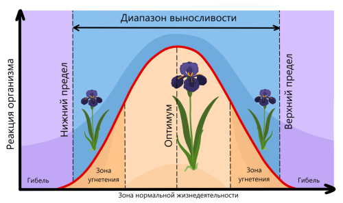 Почвенная среда - влияние на животных и растения, особенности взаимосвязи с составом