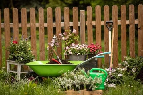 Лучшие инструменты для сада и огорода – выбирайте с умом