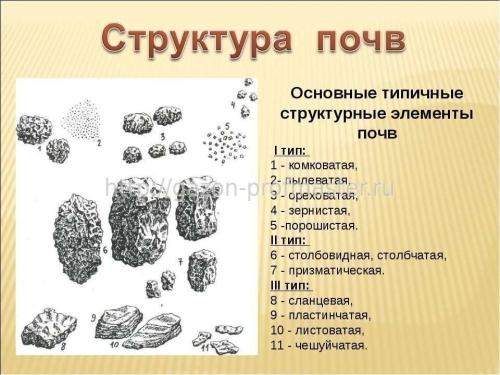 Структура почвы и ее компоненты