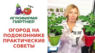 Как создать зимний огород в квартире советы и рекомендации