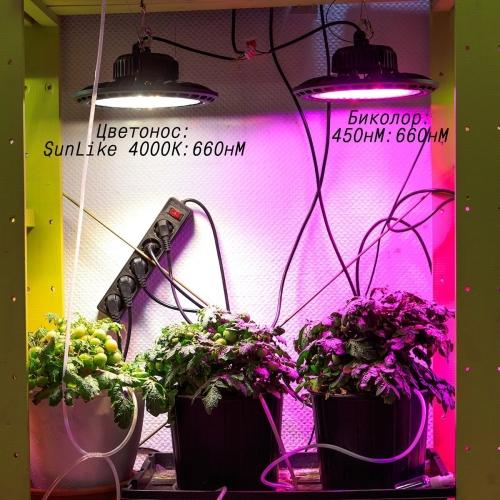 Подсветка для растений - обзоры, сравнения, характеристики. Найдите лучшую подсветку для своих растений!